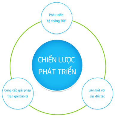 Chiến lược phát triên - Bao bì Việt Thành